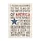 Stupell Industries Pledge of Allegiance Patriotic Wall Plaque Art
